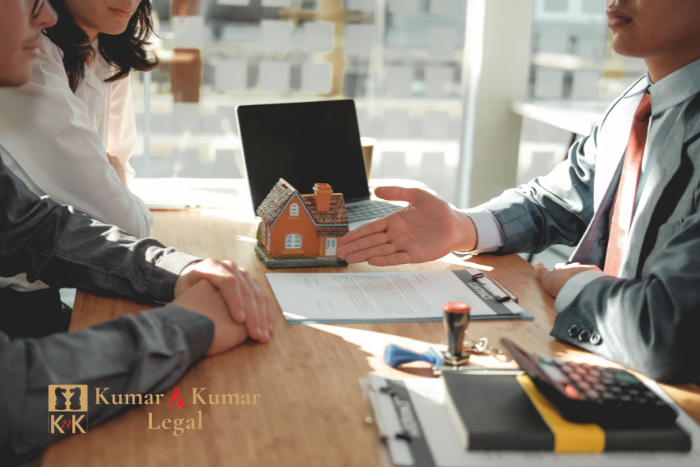Startup Legal Advisor